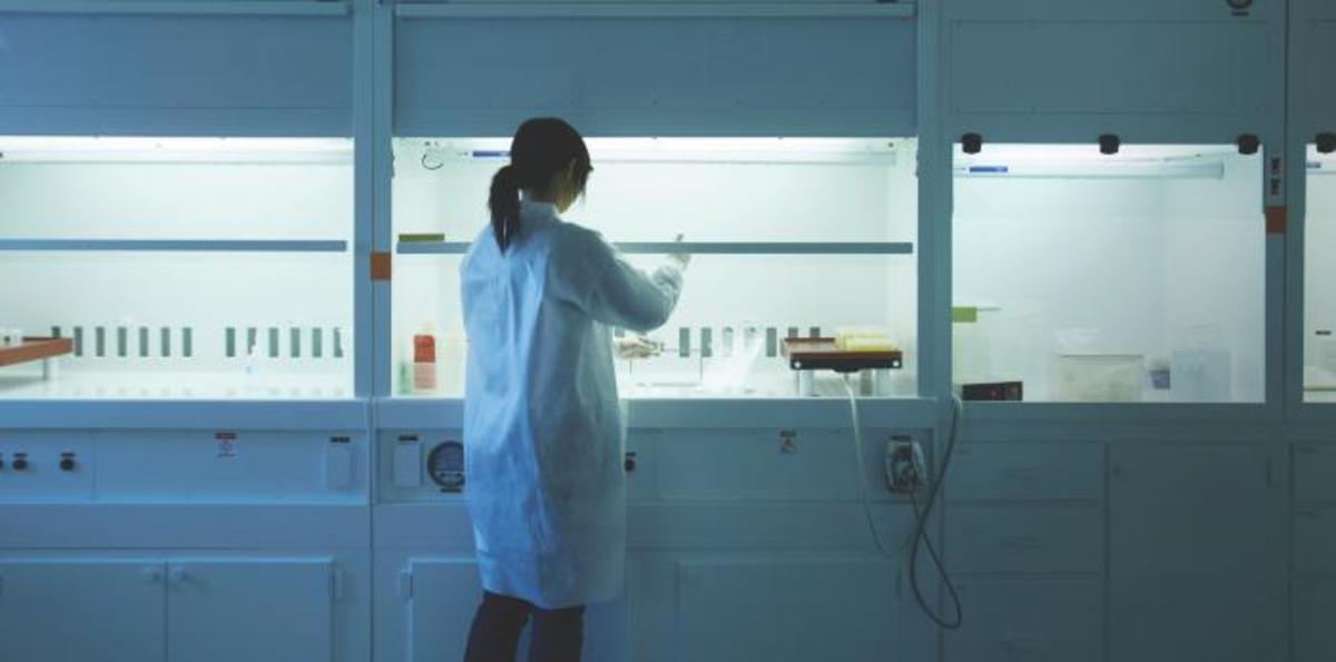 chen_lab copy.jpg (Full)